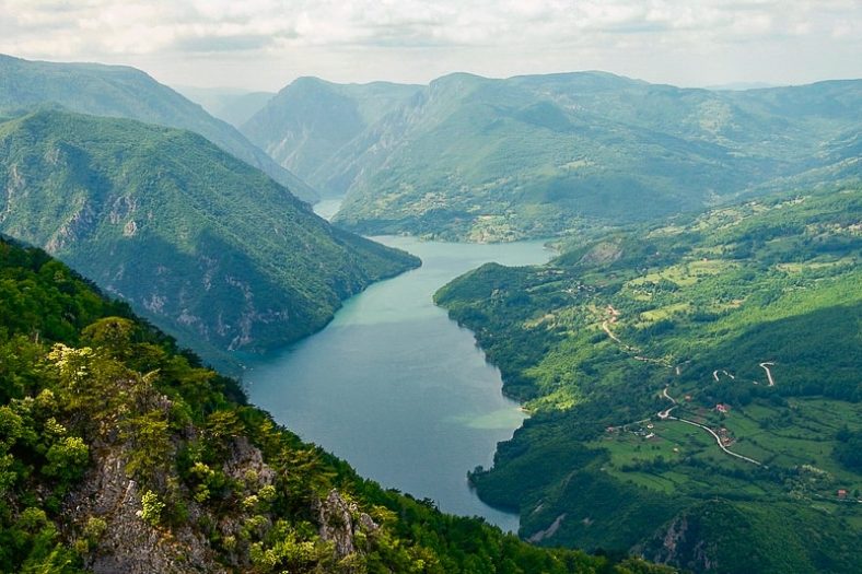 Tara National Park Serbia